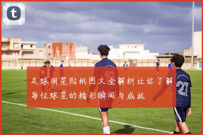 足球明星贴纸图文全解析让你了解每位球星的精彩瞬间与成就