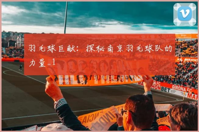 羽毛球巨献：探秘南京羽毛球队的力量_1