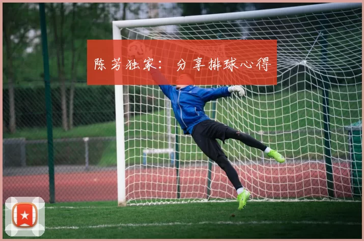 陈芳独家：分享排球心得