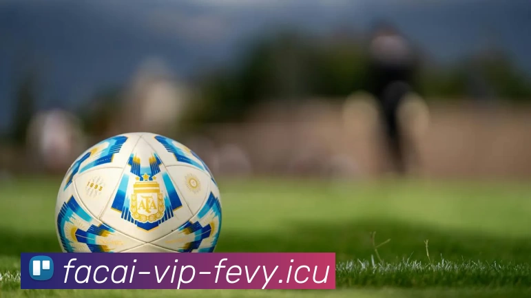 星空体育发展历程